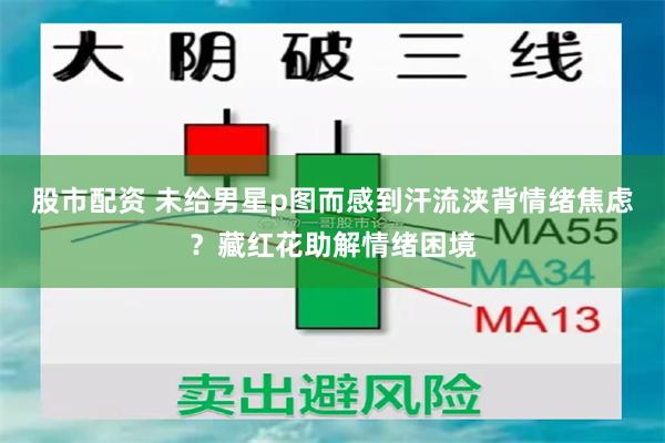 股市配资 未给男星p图而感到汗流浃背情绪焦虑？藏红花助解情绪困境