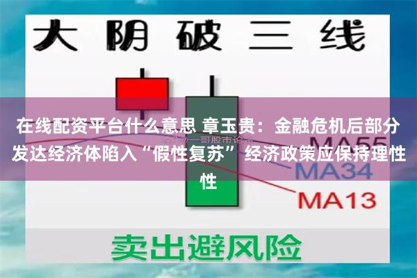 在线配资平台什么意思 章玉贵：金融危机后部分发达经济体陷入“假性复苏” 经济政策应保持理性