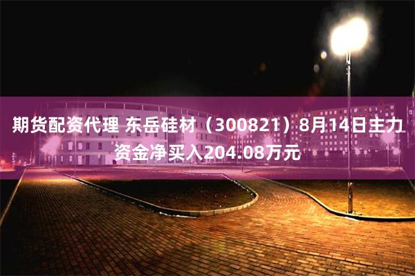 期货配资代理 东岳硅材（300821）8月14日主力资金净买入204.08万元