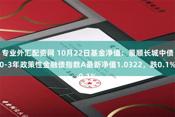 专业外汇配资网 10月22日基金净值：景顺长城中债0-3年政策性金融债指数A最新净值1.0322，跌0.1%