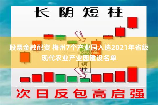 股票金融配资 梅州7个产业园入选2021年省级现代农业产业园建设名单