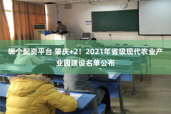 哪个配资平台 肇庆+2！2021年省级现代农业产业园建设名单公布