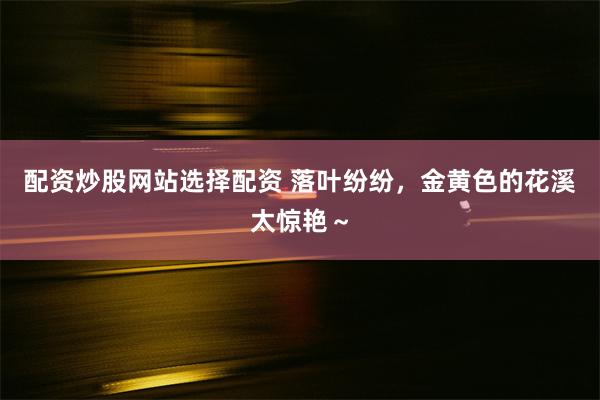 配资炒股网站选择配资 落叶纷纷，金黄色的花溪太惊艳～