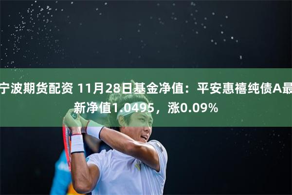 宁波期货配资 11月28日基金净值：平安惠禧纯债A最新净值1.0495，涨0.09%