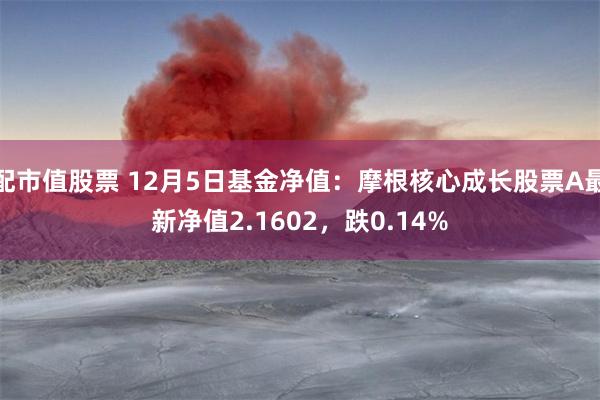 配市值股票 12月5日基金净值：摩根核心成长股票A最新净值2.1602，跌0.14%