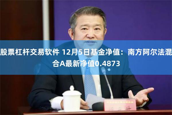 股票杠杆交易软件 12月5日基金净值：南方阿尔法混合A最新净值0.4873