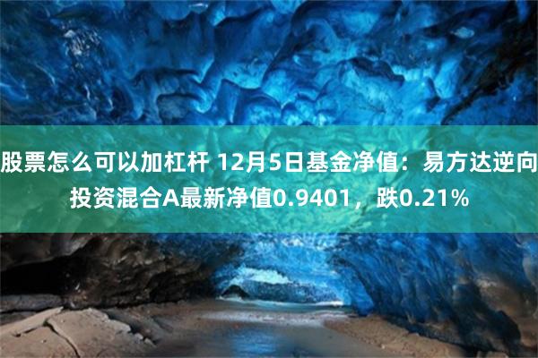 股票怎么可以加杠杆 12月5日基金净值：易方达逆向投资混合A最新净值0.9401，跌0.21%