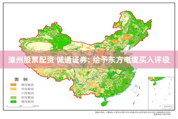 漳州股票配资 诚通证券: 给予东方电缆买入评级