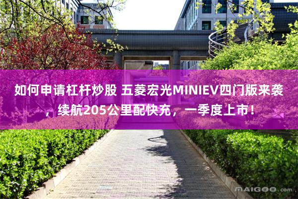 如何申请杠杆炒股 五菱宏光MINIEV四门版来袭，续航205公里配快充，一季度上市！