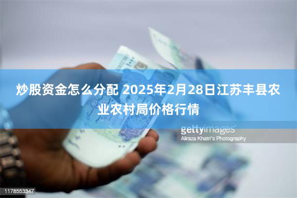 炒股资金怎么分配 2025年2月28日江苏丰县农业农村局价格行情