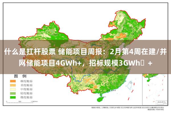 什么是扛杆股票 储能项目周报：2月第4周在建/并网储能项目4GWh+，招标规模3GWh​+