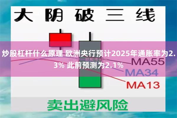 炒股杠杆什么原理 欧洲央行预计2025年通胀率为2.3% 此前预测为2.1%